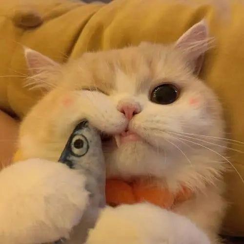 Sarwendah Tan avatar