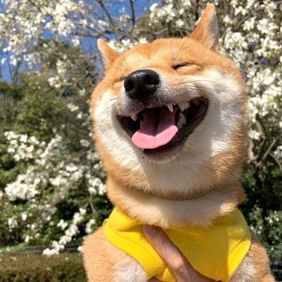 Ignasius Jonan avatar