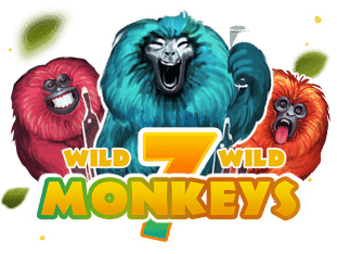 7 Monkeys thumbnail